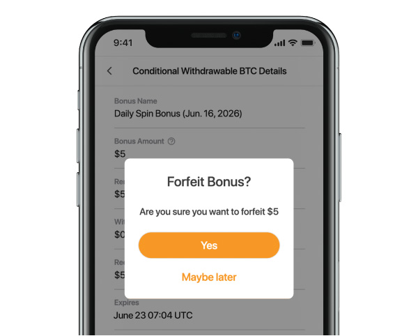 bcc_images_spin_guide_fofeit_bonus (1).jpg